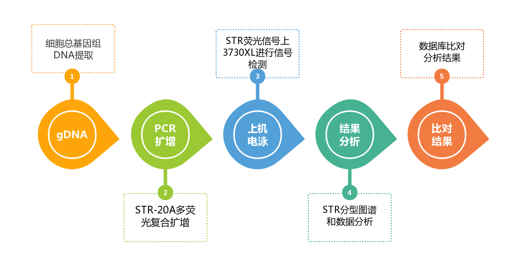 圖片7 圖片7