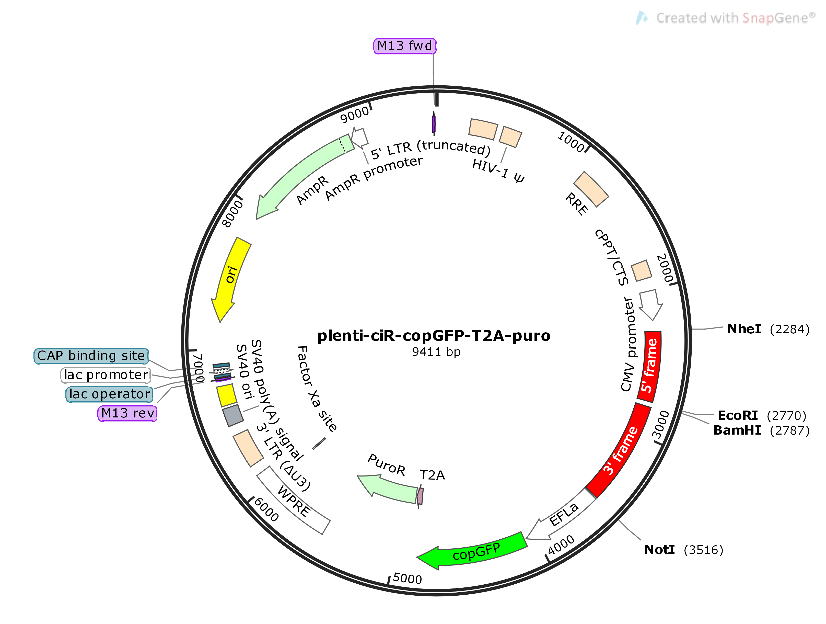 plenti-ciR-copGFP-T2A-puro Map plenti-ciR-copGFP-T2A-puro Map