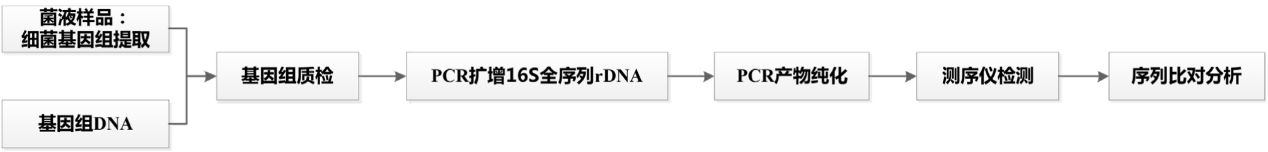 圖片3