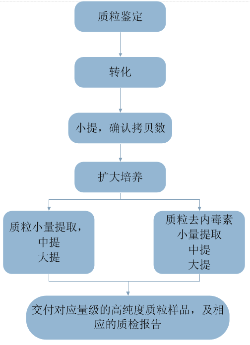 圖片9