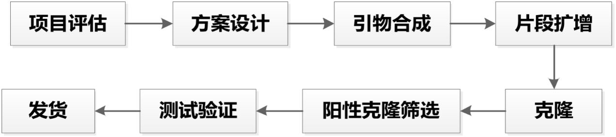 圖片7