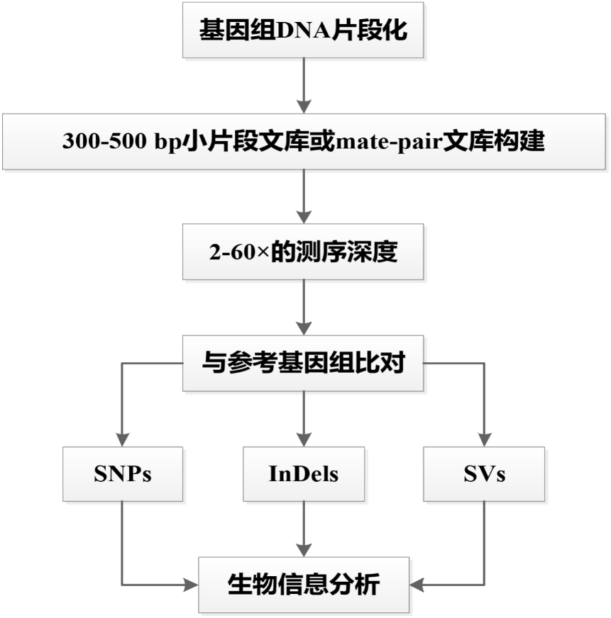 圖片18