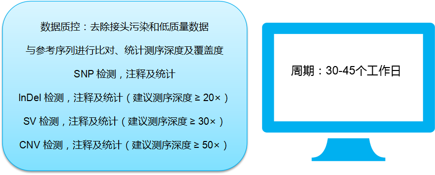 圖片19