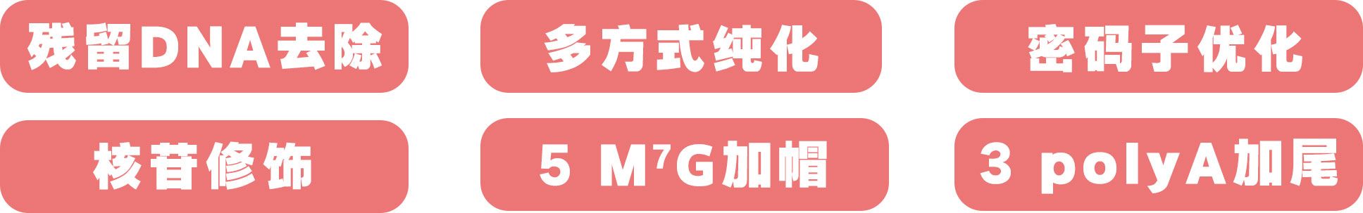 未標題-1