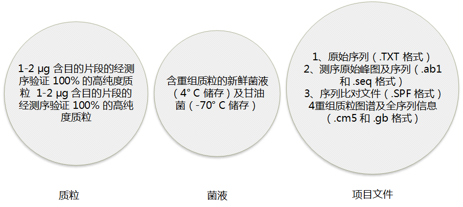 圖片3