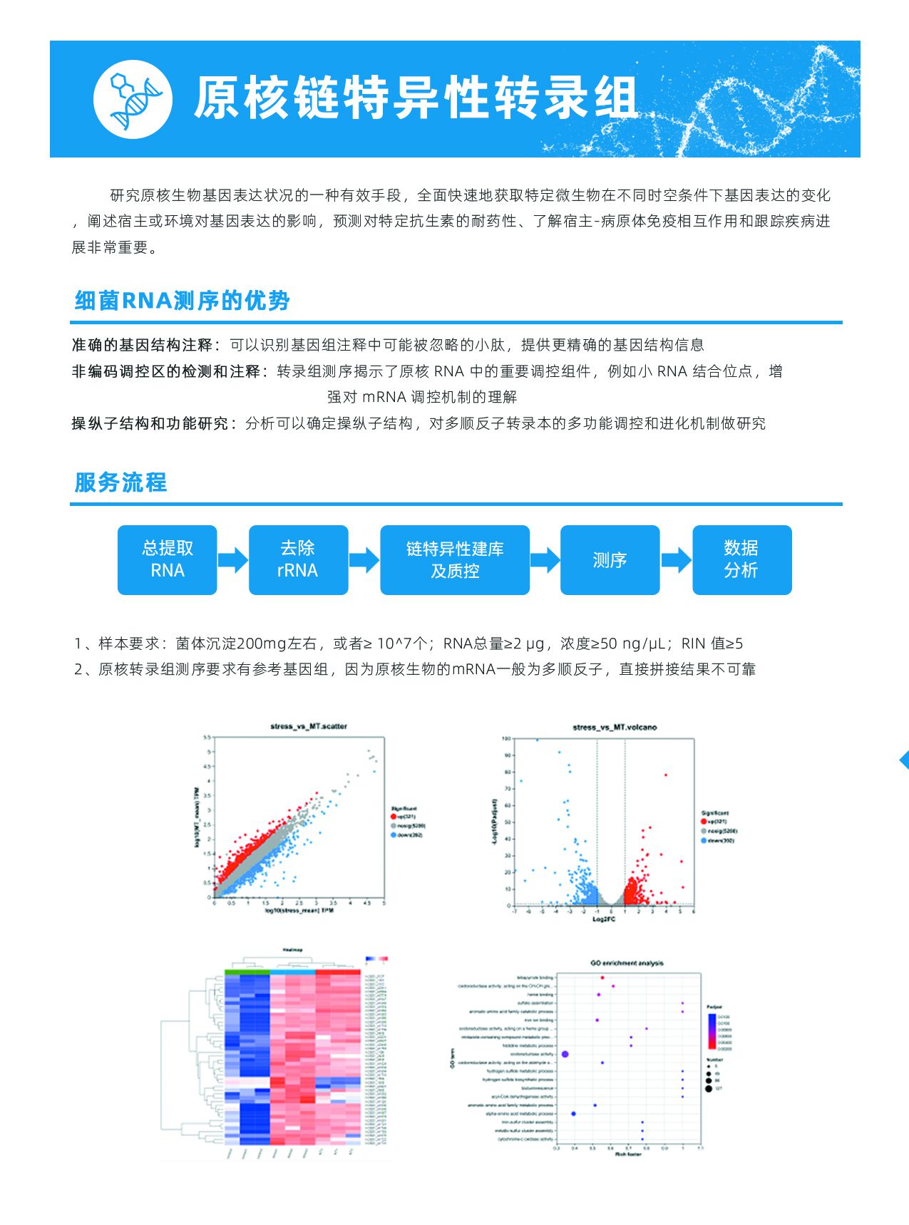 6.原核鏈特異性轉錄組