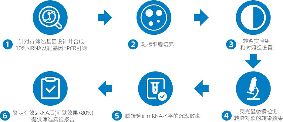 服務流程